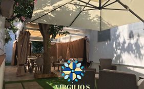 Virgilio'S Garden