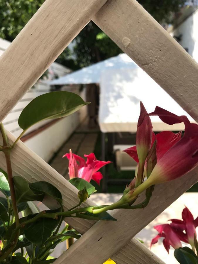 Virgilio'S Garden Bed & Breakfast Castellammare di Stabia Exterior photo